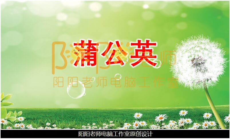 小班美术《蒲公英》PPT课件+教案