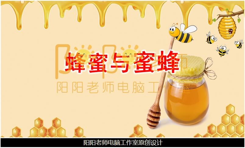 中班科学《蜜蜂和蜂蜜》PPT课件+教案