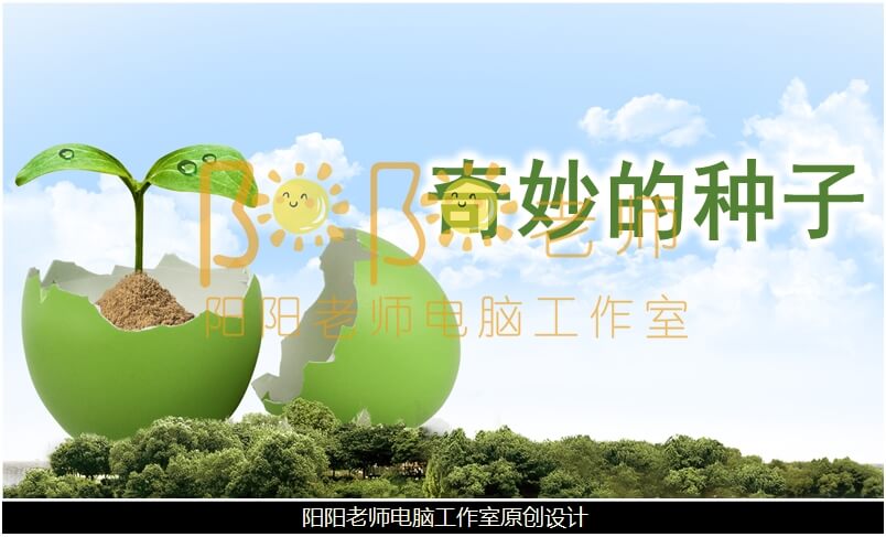 大班科学《奇妙的种子》PPT课件+教案