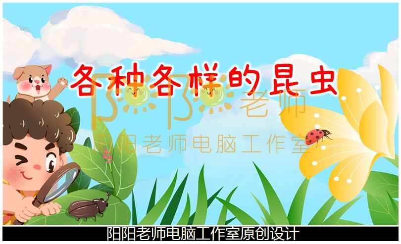 中班科学《各种各样的昆虫》PPT课件+教案